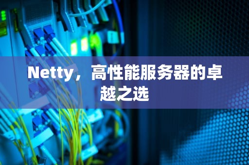 Netty，高性能服务器的卓越之选