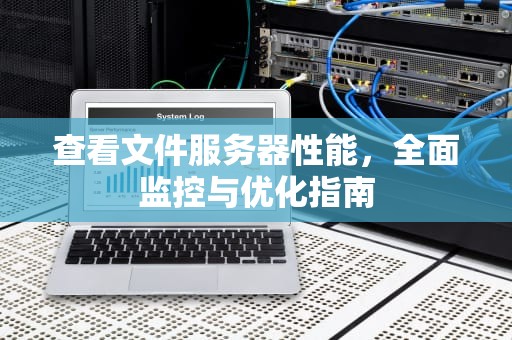 查看文件服务器性能，全面监控与优化指南