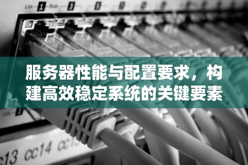 服务器性能与配置要求，构建高效稳定系统的关键要素