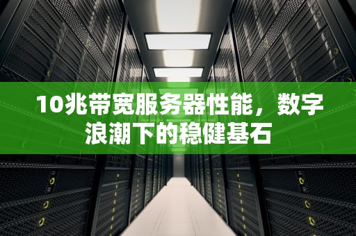 10兆带宽服务器性能，数字浪潮下的稳健基石