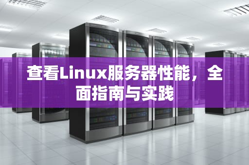 查看Linux服务器性能，全面指南与实践
