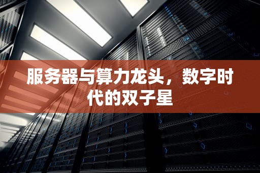 服务器与算力龙头，数字时代的双子星