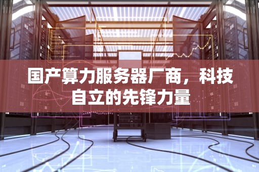 国产算力服务器厂商，科技自立的先锋力量