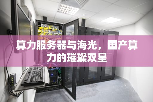 算力服务器与海光，国产算力的璀璨双星