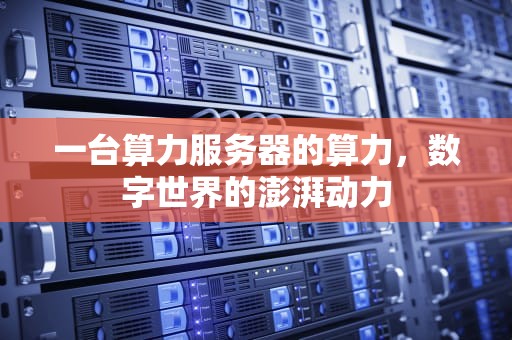 一台算力服务器的算力，数字世界的澎湃动力