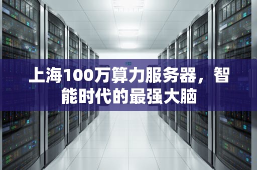 上海100万算力服务器，智能时代的最强大脑