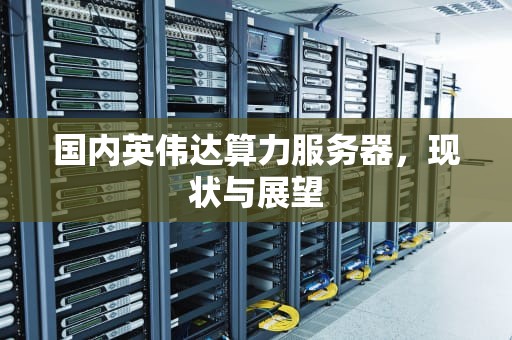 国内英伟达算力服务器，现状与展望