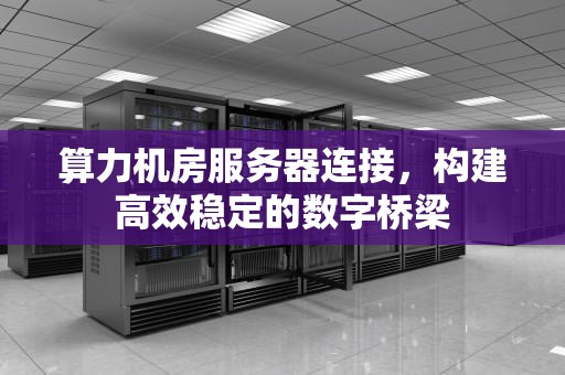 算力机房服务器连接，构建高效稳定的数字桥梁