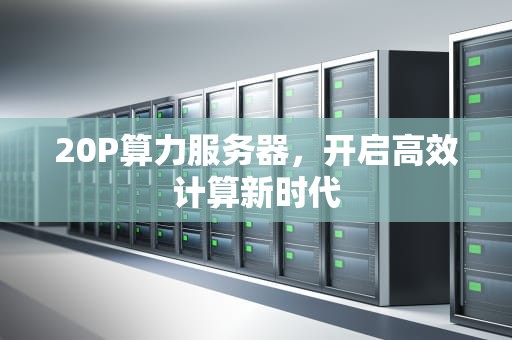 20P算力服务器，开启高效计算新时代
