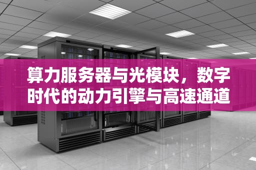 算力服务器与光模块，数字时代的动力引擎与高速通道