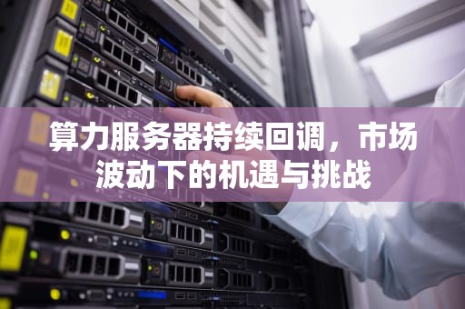 算力服务器持续回调，市场波动下的机遇与挑战