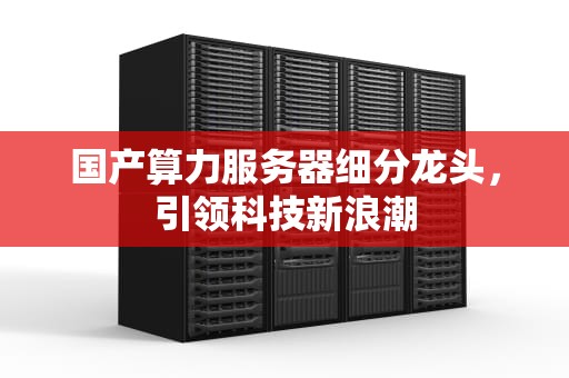 国产算力服务器细分龙头，引领科技新浪潮