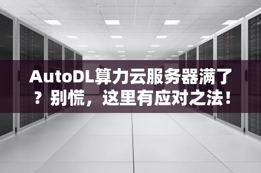 AutoDL算力云服务器满了？别慌，这里有应对之法！