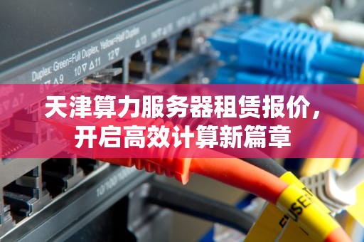 天津算力服务器租赁报价，开启高效计算新篇章