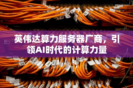 英伟达算力服务器厂商，引领AI时代的计算力量