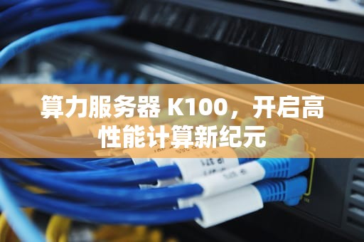 算力服务器 K100，开启高性能计算新纪元
