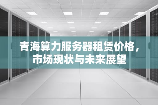 青海算力服务器租赁价格，市场现状与未来展望