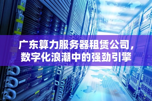 广东算力服务器租赁公司，数字化浪潮中的强劲引擎