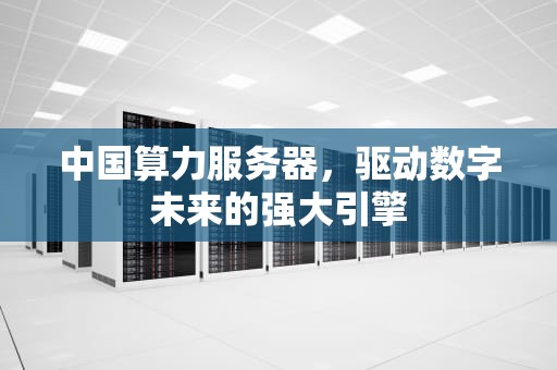 中国算力服务器，驱动数字未来的强大引擎