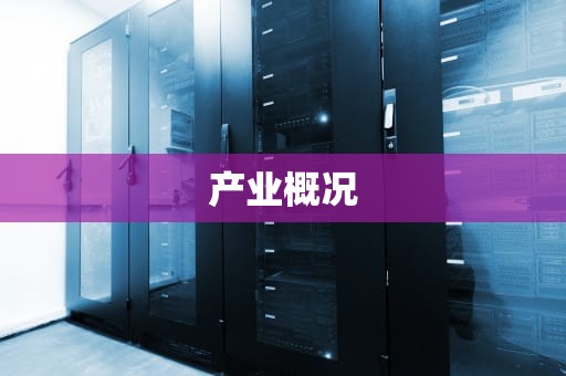 产业概况