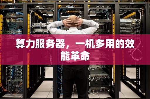 算力服务器，一机多用的效能革命