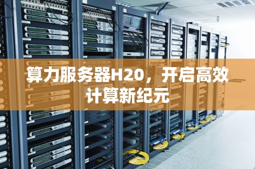 算力服务器H20，开启高效计算新纪元