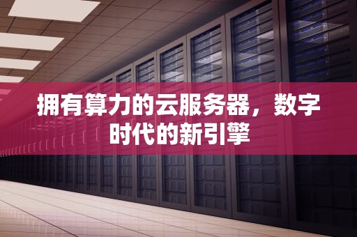 拥有算力的云服务器，数字时代的新引擎