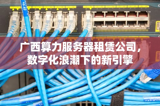 广西算力服务器租赁公司，数字化浪潮下的新引擎