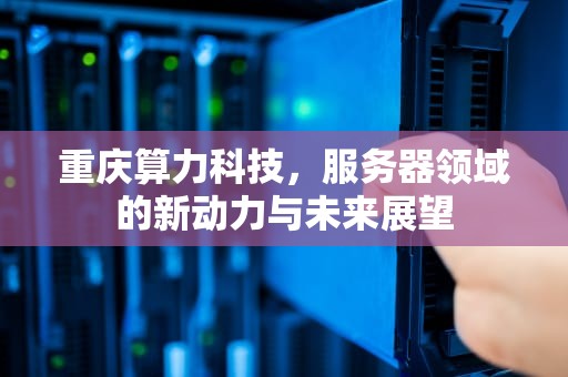 重庆算力科技，服务器领域的新动力与未来展望