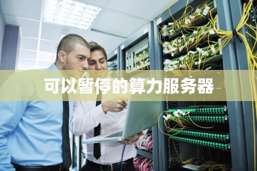 可以暂停的算力服务器