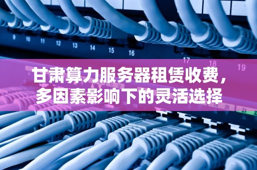 甘肃算力服务器租赁收费，多因素影响下的灵活选择