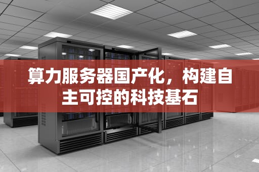 算力服务器国产化，构建自主可控的科技基石