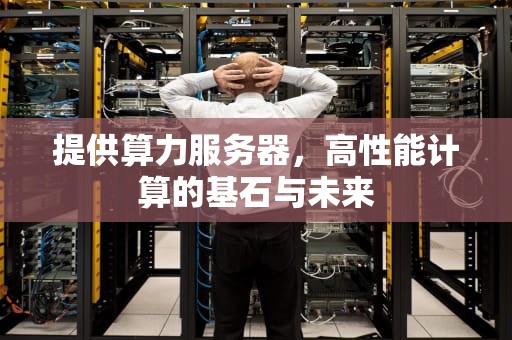 提供算力服务器，高性能计算的基石与未来
