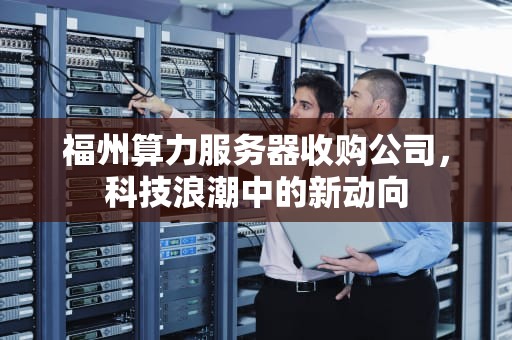 福州算力服务器收购公司，科技浪潮中的新动向