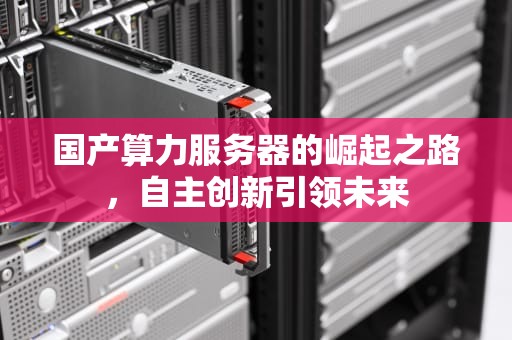 国产算力服务器的崛起之路，自主创新引领未来