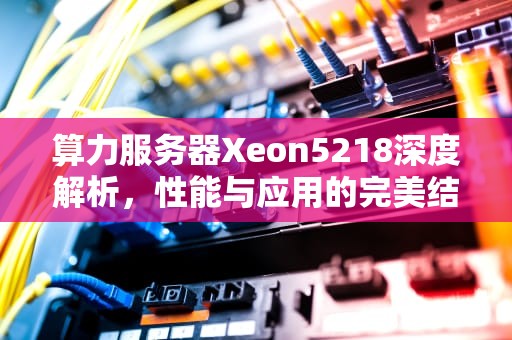 算力服务器Xeon5218深度解析，性能与应用的完美结合