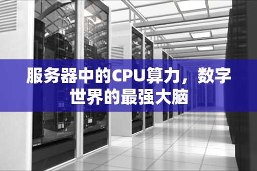 服务器中的CPU算力，数字世界的最强大脑