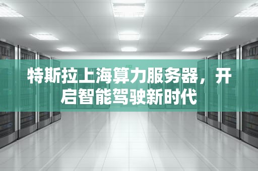 特斯拉上海算力服务器，开启智能驾驶新时代
