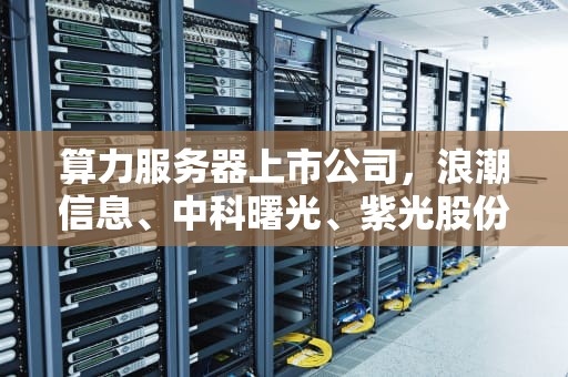 算力服务器上市公司，浪潮信息、中科曙光、紫光股份等多股争雄