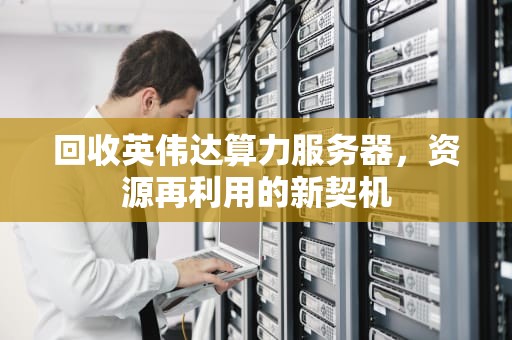 回收英伟达算力服务器，资源再利用的新契机