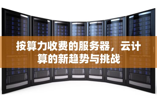按算力收费的服务器，云计算的新趋势与挑战