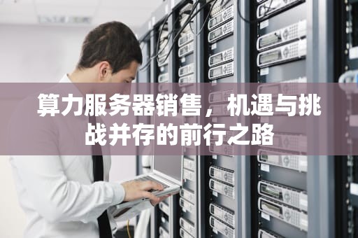 算力服务器销售，机遇与挑战并存的前行之路