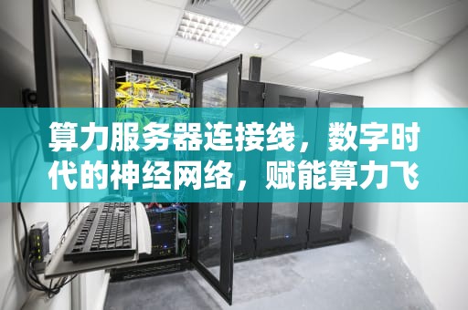算力服务器连接线，数字时代的神经网络，赋能算力飞跃