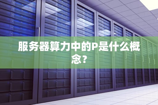 服务器算力中的P是什么概念？