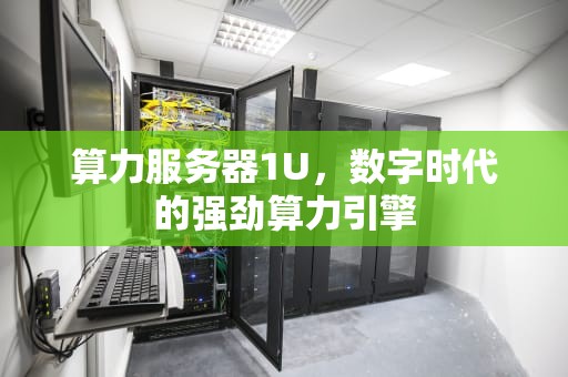 算力服务器1U，数字时代的强劲算力引擎