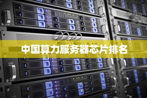 中国算力服务器芯片排名