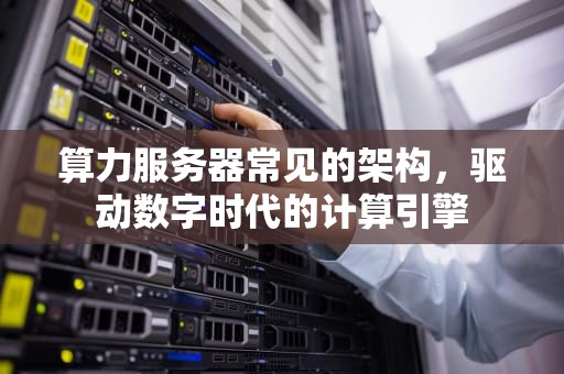 算力服务器常见的架构，驱动数字时代的计算引擎