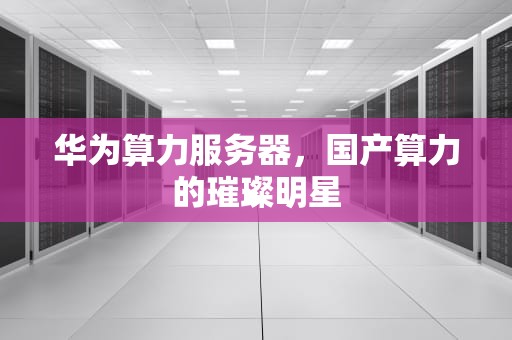 华为算力服务器，国产算力的璀璨明星