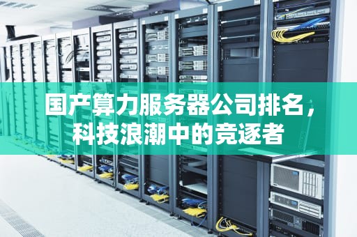 国产算力服务器公司排名，科技浪潮中的竞逐者