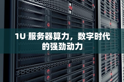 1U 服务器算力，数字时代的强劲动力